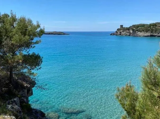 Cilento Отель типа 