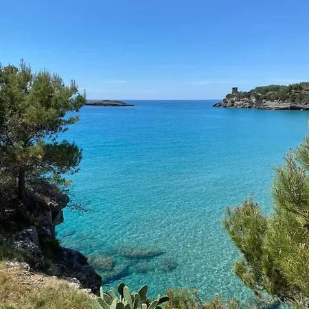 Cilento Frühstückspension